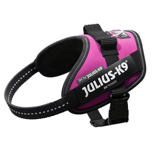 Julius-K9 IDC Powergeschirr Dunkelpink Größe: XS Hund