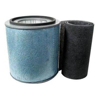 Austin Air Junior HEGA Filter with Black Pre-Filter #FR205A