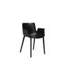 Kartell - Chaise Piuma - Noir - Noir