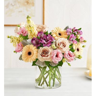 1-800-Flowers Flower Delivery Nature's Charm Medium