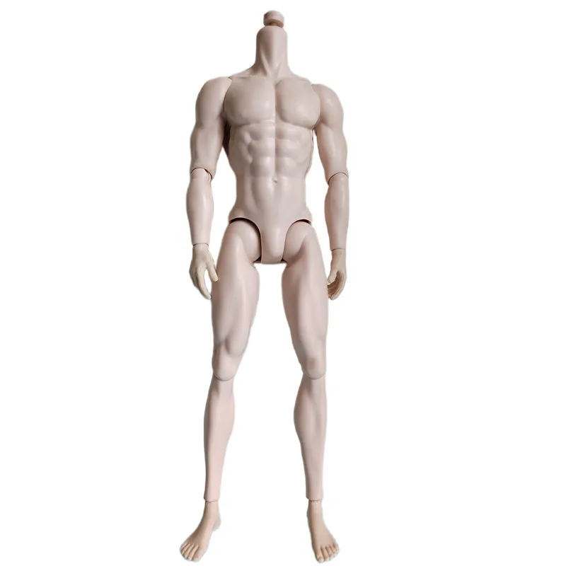 Original Adonis Male Muscle Body Super White Skin Tone 1/6 Dolls Yoga Joints Movable 32cm Male Scale Mannequin Limited Collect Image