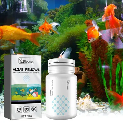 Algae Removal Quickly Reduce and Control Algae Existence Aquarium Moss Remover Agent Fish Tank