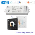TUYA WifI WT1 LED Smart Dimmer 2 CH 12V 24V 36V CCT LED Strip Dimmer Controller Kit 2.4G RF telecomando interruttore tattile a 4 Zone
