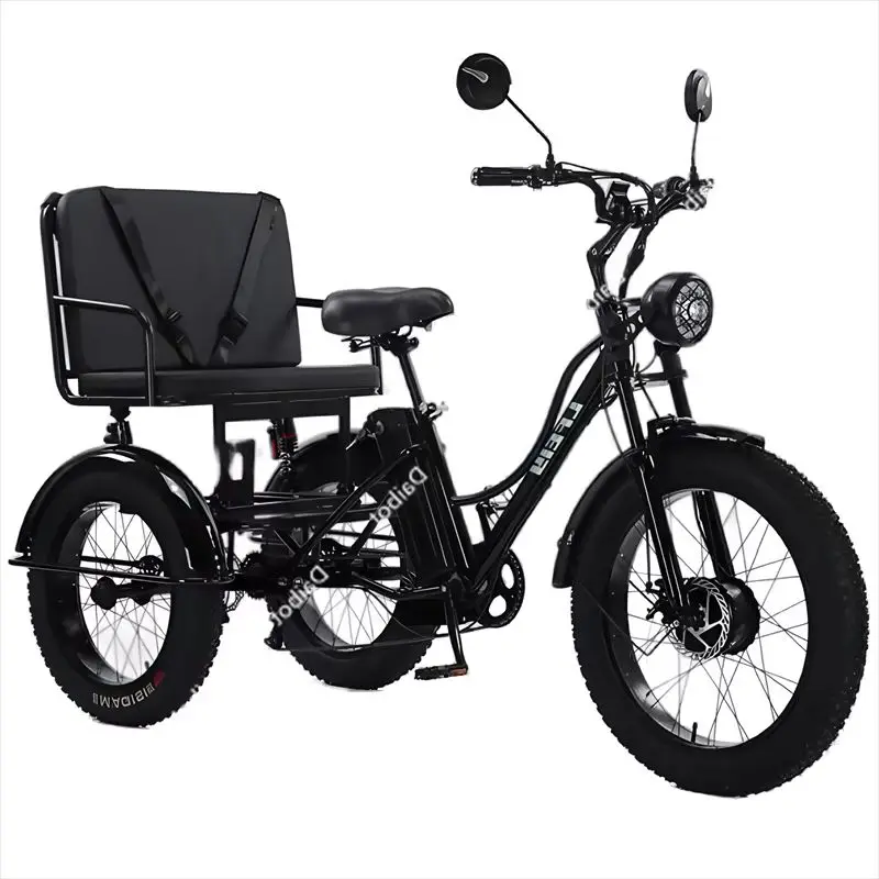 Dreirädrige elektrische Dreiräder mit Beifahrersitz für Erwachsene, 48 V, 750 W, 24 Zoll Fat Tire Elektrofahrrad, abnehmbarer Akku für Herren Image