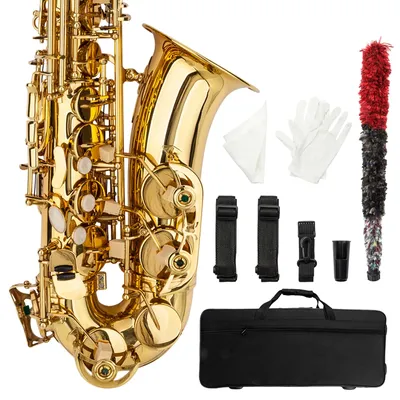 Stylish Mid-range Alto Drop E Lacquered Golden Saxophone Painted Golden Tube with Carve Patterns