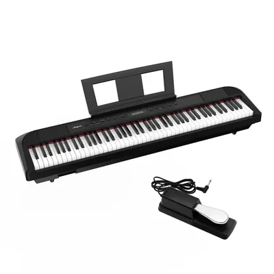 1 Composite Material + Abs 88-Key Portable Heavy Hammer Electric Piano S-208