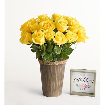 1-800-Flowers Flower Delivery Yellow Roses 24 Stems W/ Woodland Vase & Sign