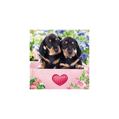 160 Servietten, 3-lagig 1/4-Falz 33 cm x 33 cm Dachshund Puppies