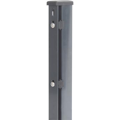 Zaunpfosten ALBERTS, grau (anthrazit), B:6cm H:240cm T:4cm, Stahl, Zaunpfosten, 60x40 mm für Doppelstabmattenzaun, 240 cm, mit Flacheisen