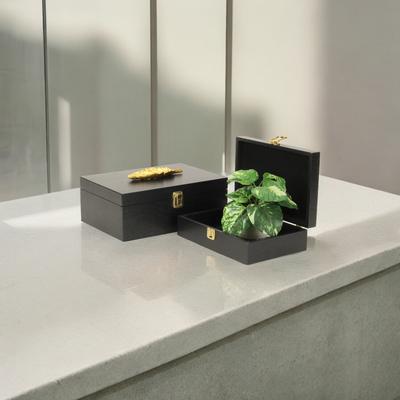 Canorus Rectangular Box Set with Gold Resin Feather - Black