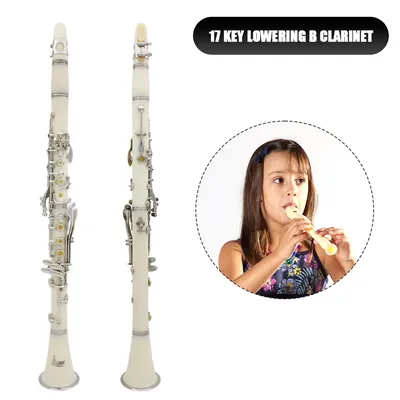 Bb Clarinet 17 Keys Bakelite Wooden Professional Woodwind Instrument Tenor Clarinet With Box Reed