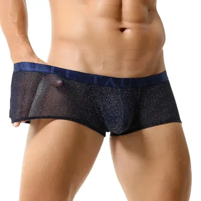 TAUWELL Unterwäsche Herren Boxer Mesh Atmungsaktiv Sexy Low Waist Unterhose Boxershorts Glänzende Boxer für Herren Image