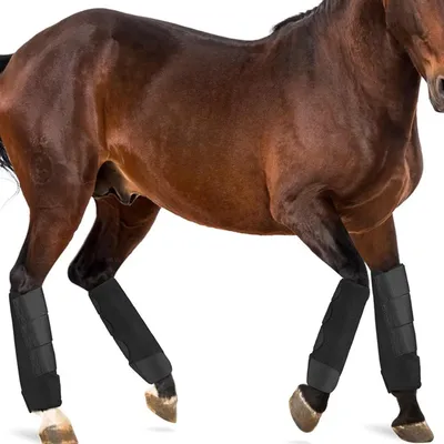 2x Horse Boots Shock Absorbing Horse Leg Wraps Tendon Protection Front Hind Legs Guard for Jumping