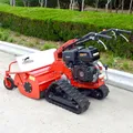 Walk-Behind Tosaerba a benzina Macchina per la pulizia del giardino del prato domestico Macchina per la pulizia del prato cingolata ad alta potenza personalizzata