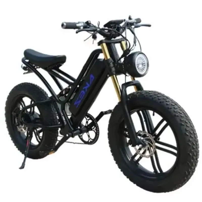 20 Zoll Elektro-E-Bike 750 W 48 V Fat Tire E-Bikes Elektrofahrräder für Männer Retro E-Bike Akez mit abnehmbarer Batterie Frauen Image