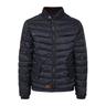 Steppjacke BLEND ""Steppjacke BHCamaro"", Herren, Gr. M, grau (india ink), Obermaterial: 100% Nylon NY., casual, regular fit normal, Jacken