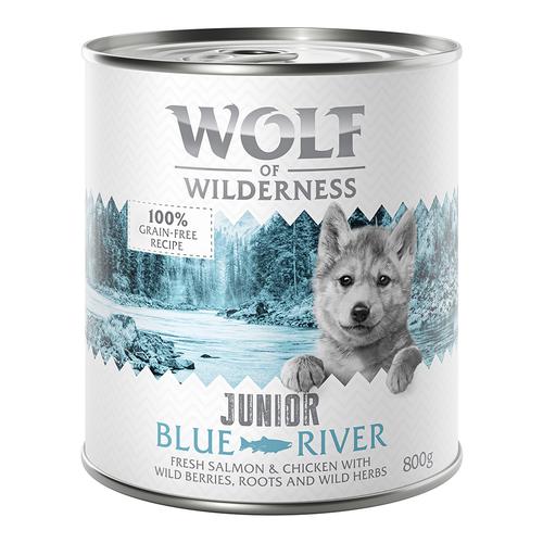 Wolf of Wilderness JUNIOR 6/24 x 800 g - 24 x 800 g Blue River - Huhn & Lachs