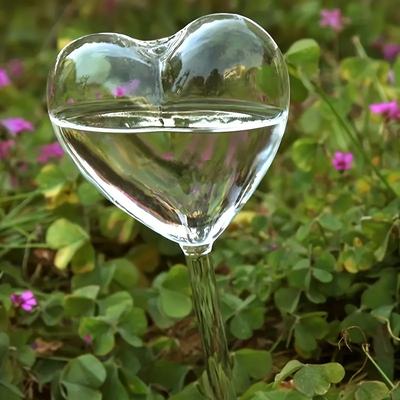 TEMU 3/6pcs Transparent Glass Heart Automatic Watering Device For Potted Plants And Balcony Lazy Drip Tube, Very Suitable For Automatic Watering At Home And Gardening Tools