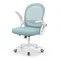 naspaluro Home Office Chair Gaming chairs Ergonomic Desk Chair Swivel Computer Chair Mid-Back Mesh