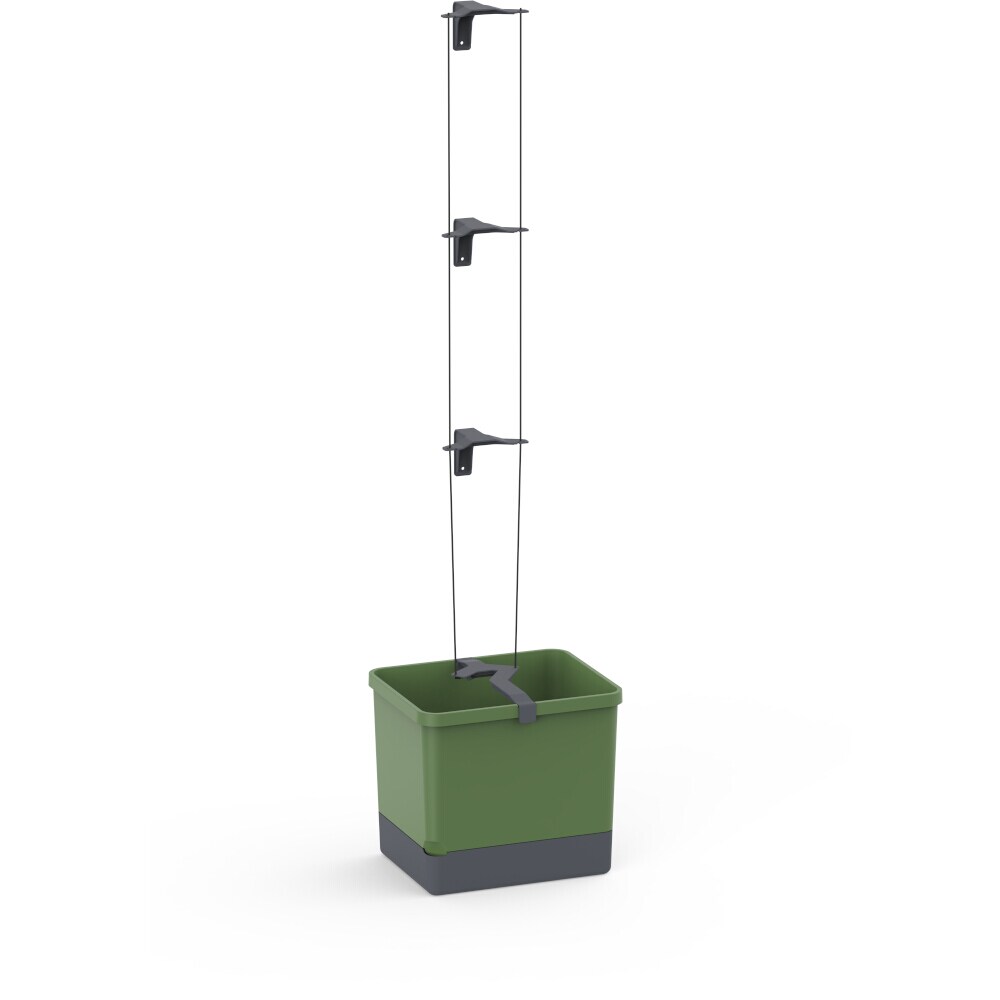 CURT CUCUMBER dunkelgrün Image