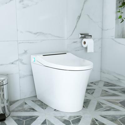 Randolph Morris Synchron Heated Seat Smart Toilet Bidet Combo RMXR-760