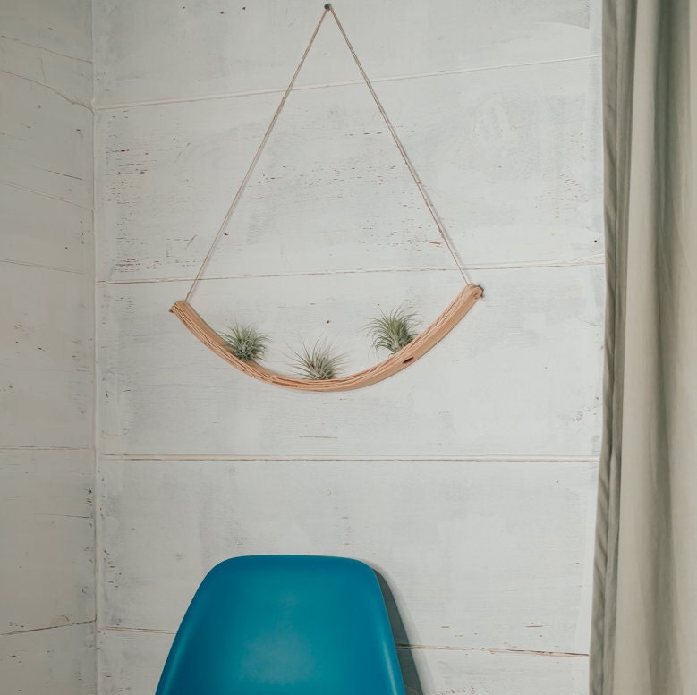 Supporto per piante aeree a forma di U, supporto per piante aeree, espositore per piante aeree in legno curvato, supporto da parete per piante aeree,