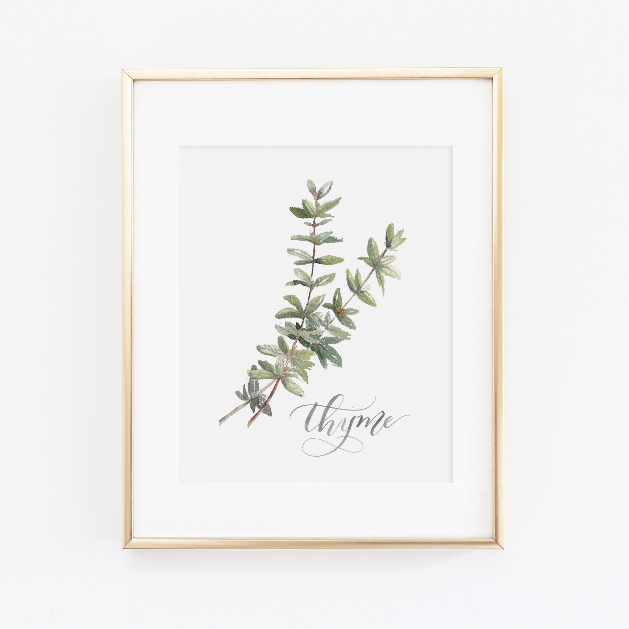 Stampa dell'acquerello dell'erba di timo / set di stampa dell'erba dell'acquerello / pittura dell'erba dell'acquerello / opera d'arte del timo / arred