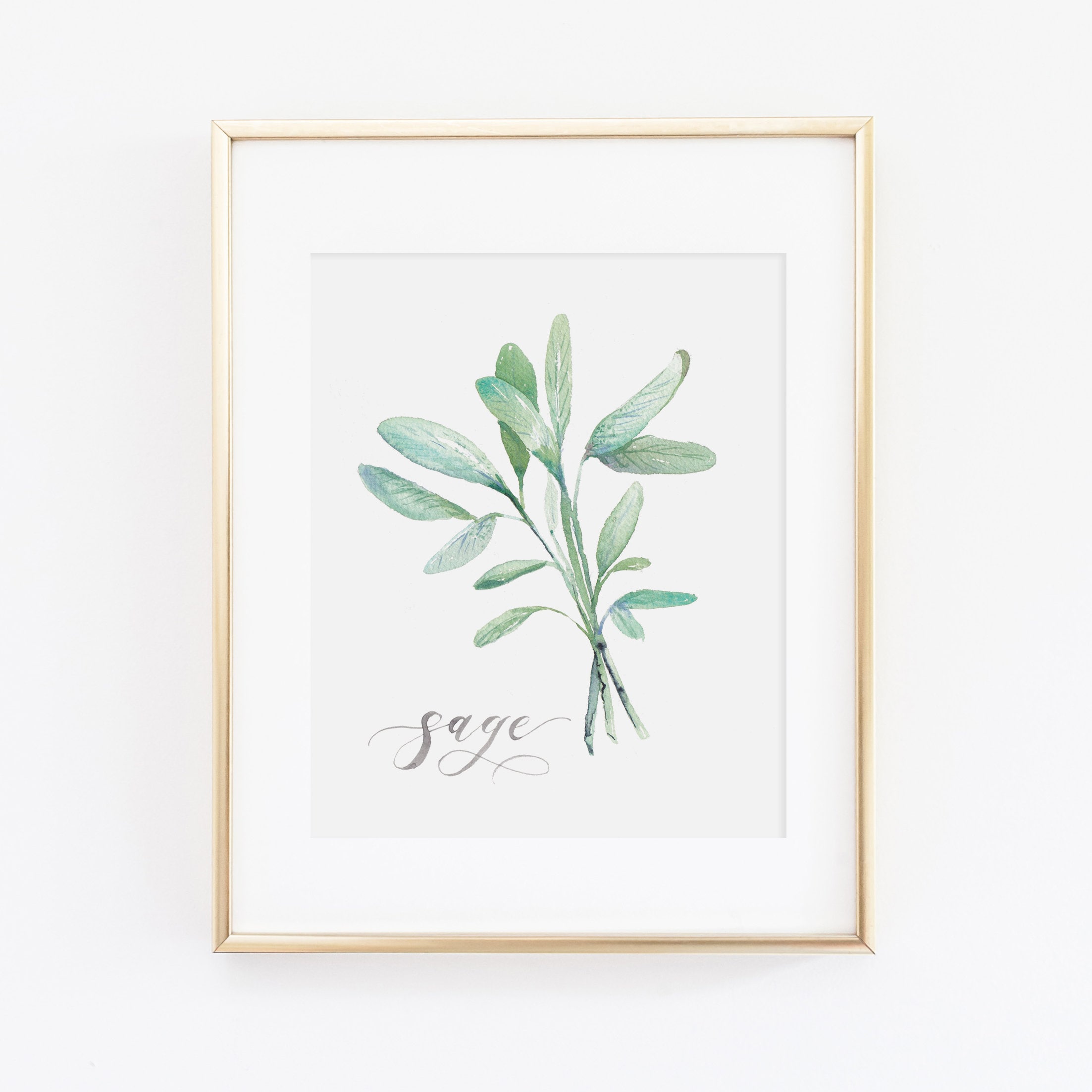 Stampa dell'acquerello dell'erba salvia / set di stampa dell'erba dell'acquerello / pittura dell'erba dell'acquerello / opera d'arte salvia / arredame