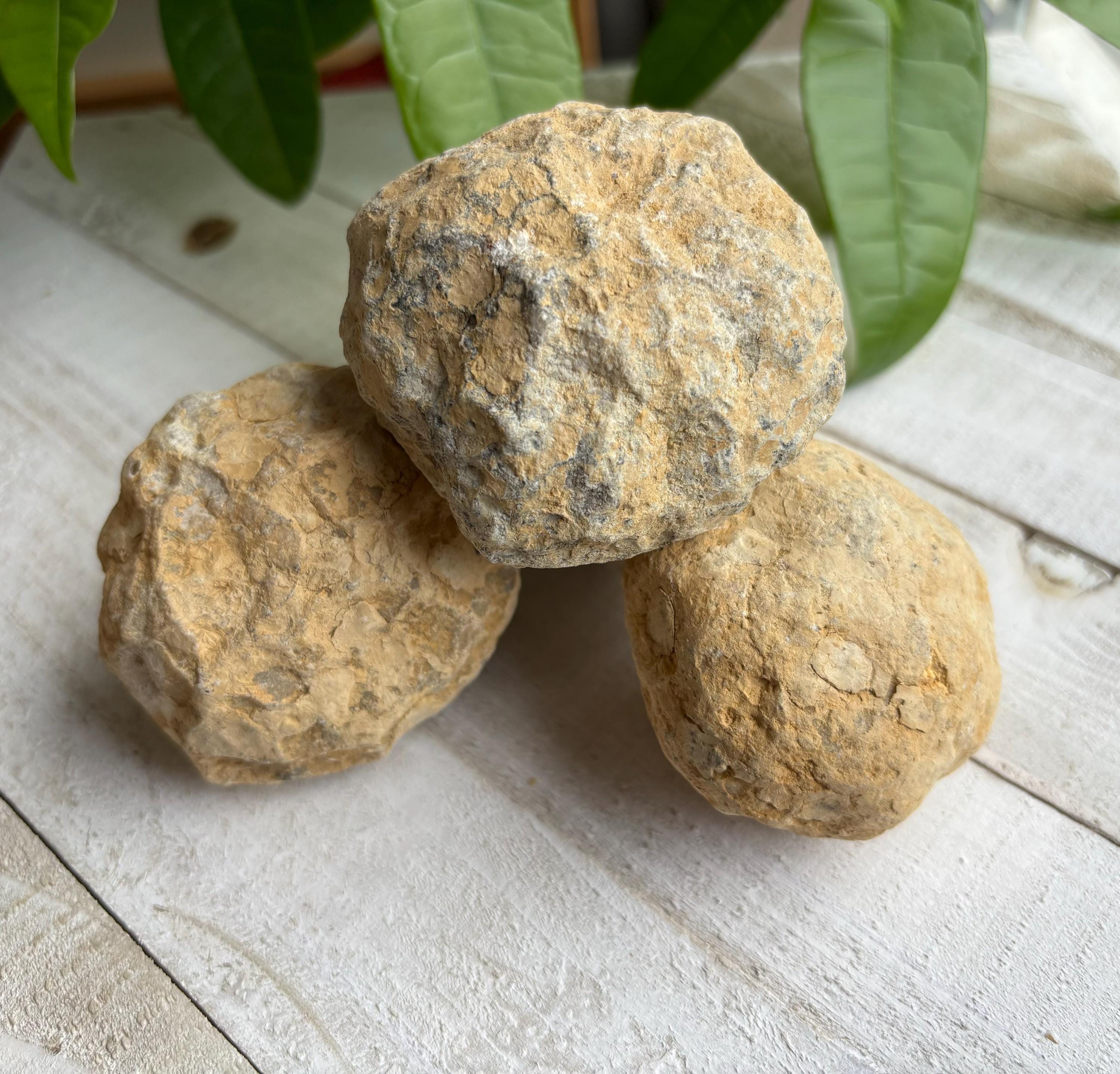 Rompi la tua geode, Geode, Quarzo geode, Regalo per bambini, Regalo per lei, Regalo per lui, Pasqua, Natale