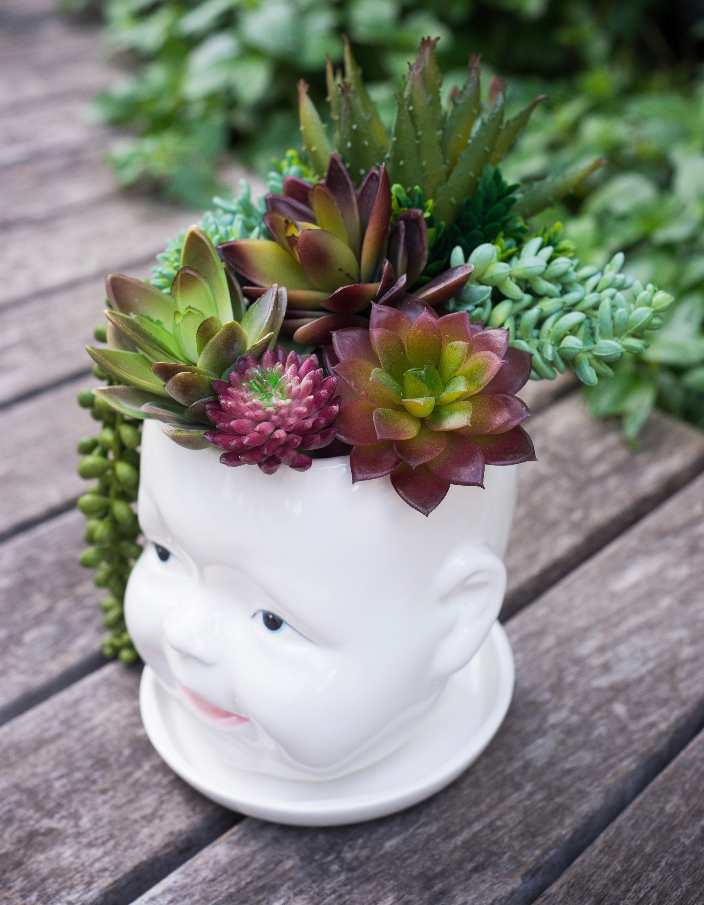 Vasi spaziosi e carini per il viso - Vasi di alta qualità a forma di testa di bambola - Vaso per fiori in ceramica, vaso per piante grasse - Pianta co
