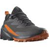 Wanderschuh SALOMON "CROSS OVER 2 GORE-TEX", Gr. 45, grau (phantom), Synthetik, Textil, sportlich, Schuhe, wasserdicht