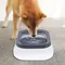 1pc Hund schwimmende Wasserschale kein Verschütten langsames Wasser Feeder Hunden apf rutsch fester Haustier Trinkbrunnen