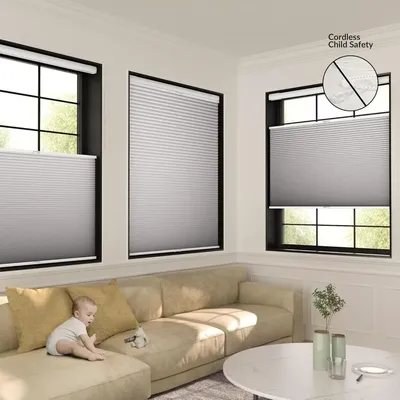 Window+Blinds