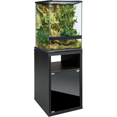 Terrarium Cabinet Small Reptile and Amphibian Terrarium Stand Measures 17.88 W x 17.88 D x 27.75 H