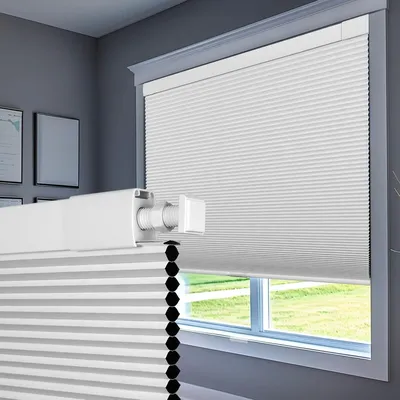 Window+Blinds