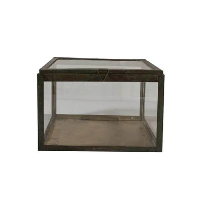 Rectangular Transparent Glass Tabletop Terrarium - 10.25