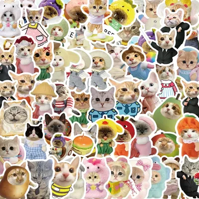 62Pcs Fummy Cartoon Katze Graffiti Aufkleber Meme Aufkleber Für Telefon Laptop Skateboard Gepäck Gitarre Notebook Diy Aufkleber Image