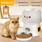 Rojeco 3l Wifi automatische Katze Feeder Smart Hundefutter Spender App Fernbedienung niedlichen Auto Pet Feeder Fütterung schüssel Zubehör