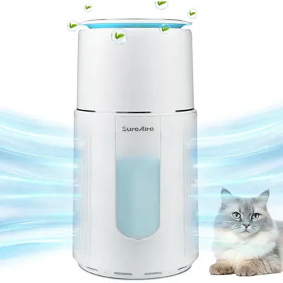 Air+Purifiers