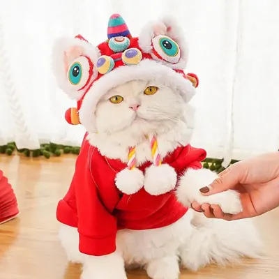 Costume+Hats+Headbands