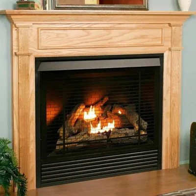 Dual Fuel Ventless Gas Fireplace Insert, Remote Control, 9 Fire Logs, Use with Natural Gas or Liquid