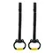 Fitness ABS Gymnastics Rings Non-Slip Fitness Home Gym Equipment Strength Training Gymnastics Equipment Full Body Workout