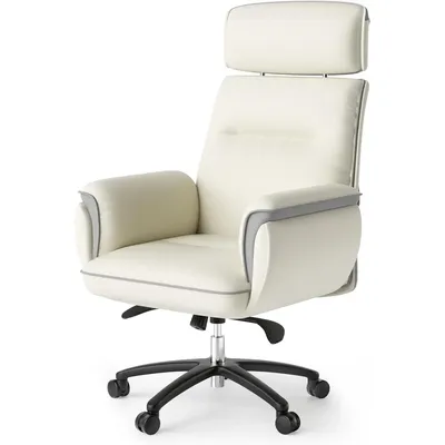 Microfiber Leather Office Chair Ergonomic Desk Chair, Executive Chair Office Gaming Chair, Comfy Big