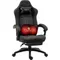 Gaming Chair with Heated Massage Lumbar Support, Ergonomic Gaming Computer Chair with Pocket Spring