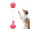 Suction Cup Dog Toy Tug Of War Automatic Dog Toy Dog Tug Toys Teething Chew Toy Dog Boredom Games