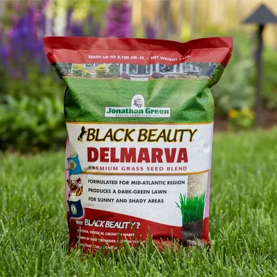 (10392) Black Beauty Delmarva Grass Seed (Made for Maryland, Delaware, Virginia) - Cool Season Lawn