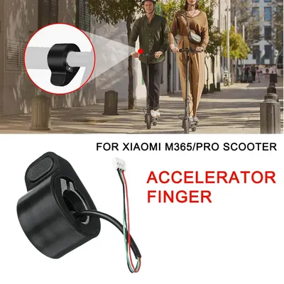 Scooters+Accessories