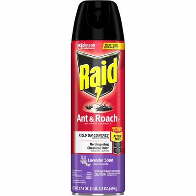 Raid Ant & Roach Killer Spray (SJN365982) Each Raid® Pesticides