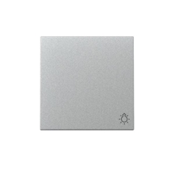 Gira Wippe Symb. Licht 328526 Image