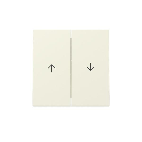 Gira Wippe 2f Pfeil 329401 Image